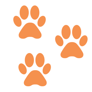 Story icon