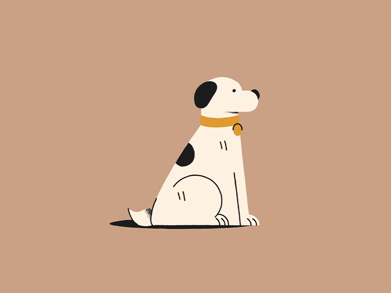 Dog animation
