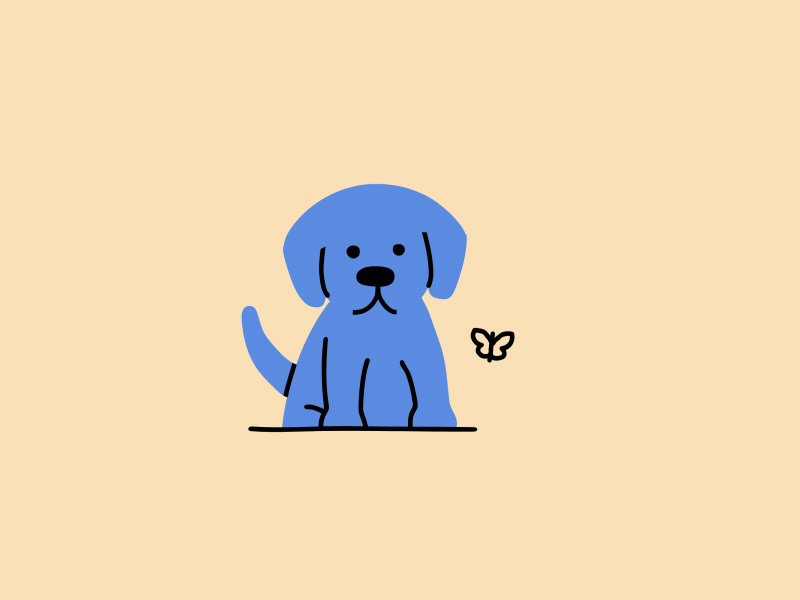 Dog animation
